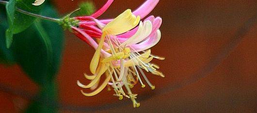 道理;环境,对我们的影响力,是极大的;如果运气不好,可能喝凉水都塞牙