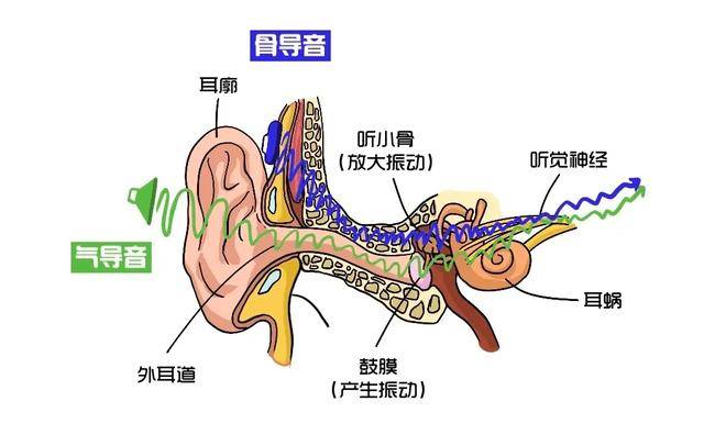 开放式耳机怎么选?2024年度超强机型推荐,亲测分享!