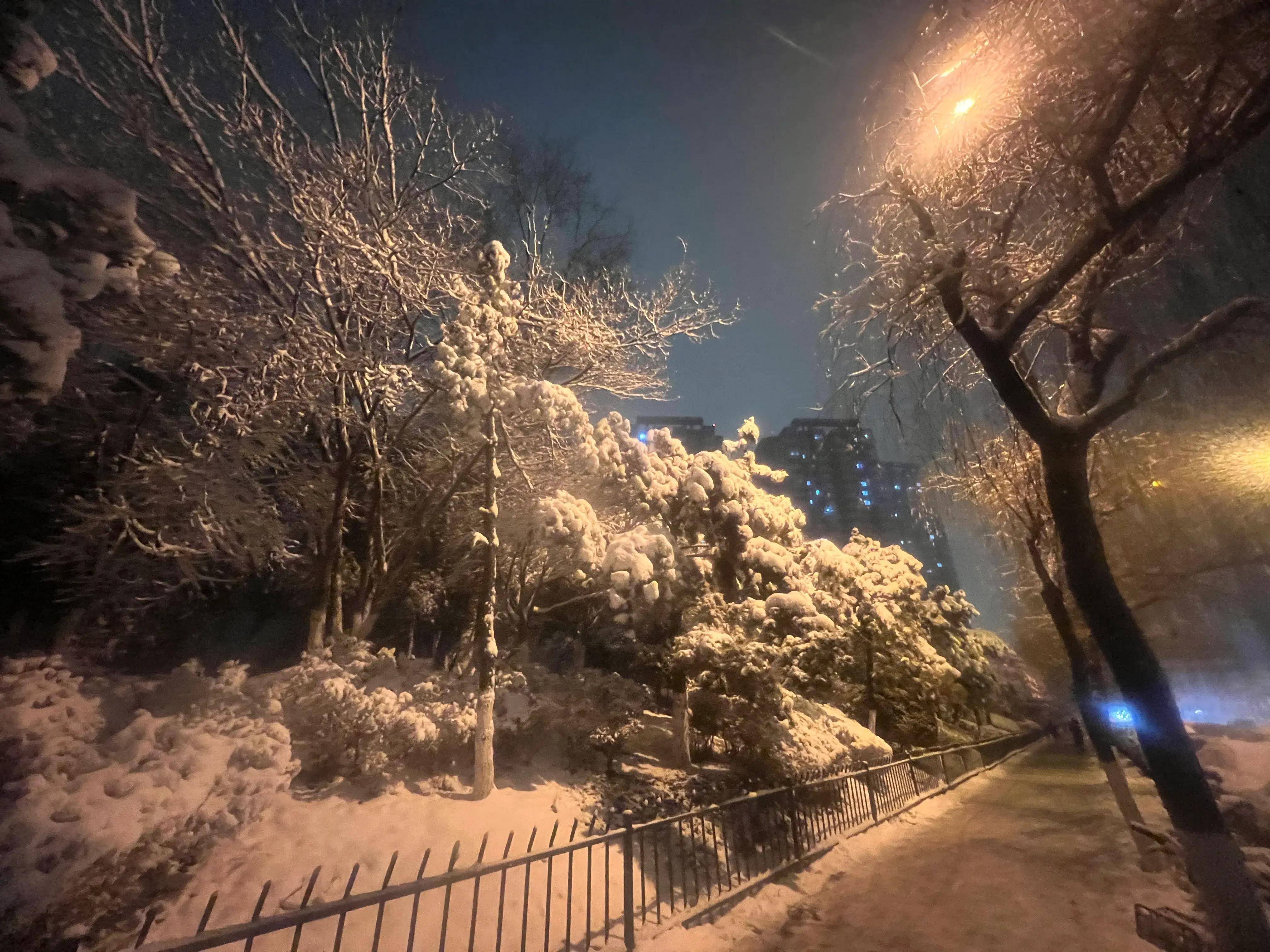 镜头:雪夜古城西安 宛如梦幻般童话世界(组图)_雪景_白雪_夜色