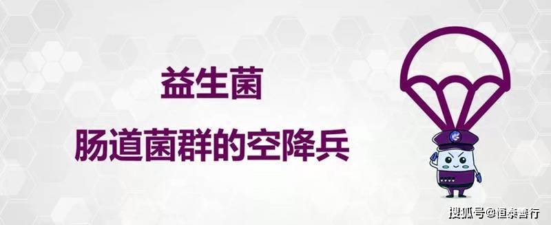 如何分辨益生菌,益生元,合生元_腸道_的作用_製劑