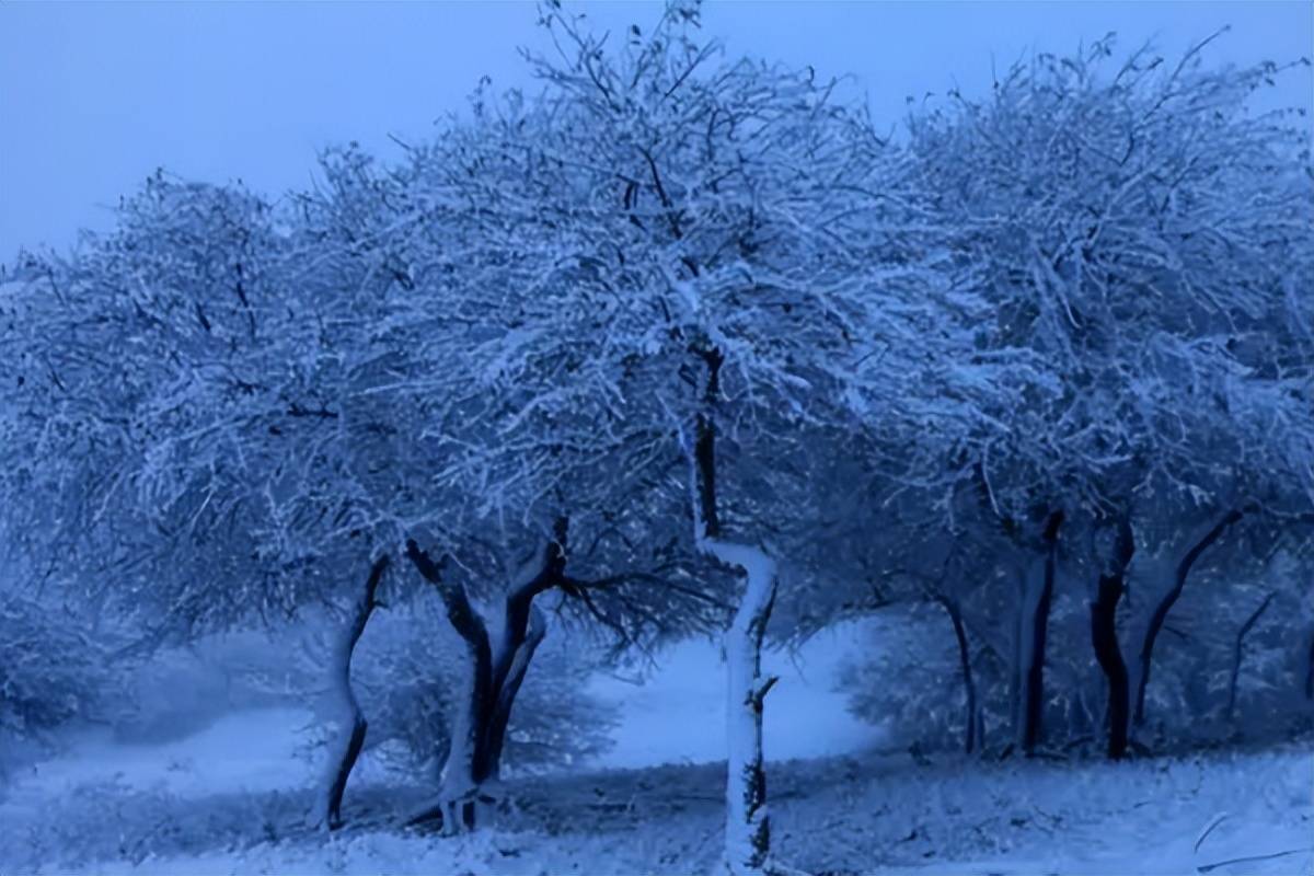 歲末聽雪落,浮世有清歡_情感_人們_雪景