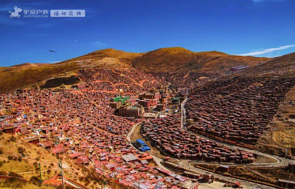 佛国梵音,邂逅绝美雪景,"色达"惊艳川西冬日的一抹浓烈色彩!