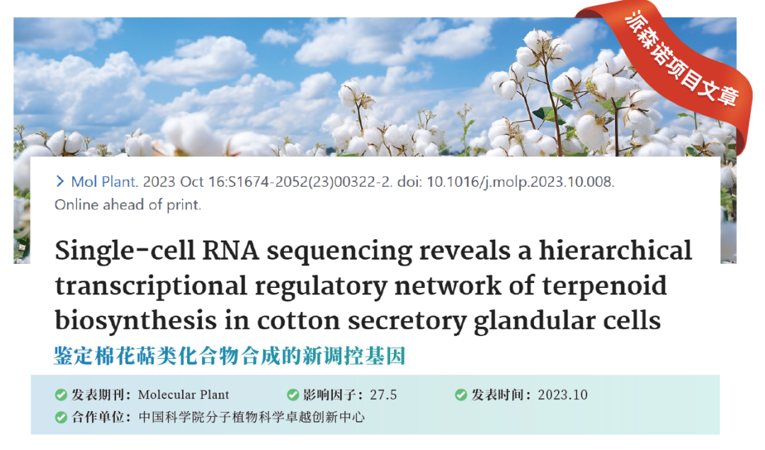 【國自然熱點解析】單細胞測序助力農學研究_合成