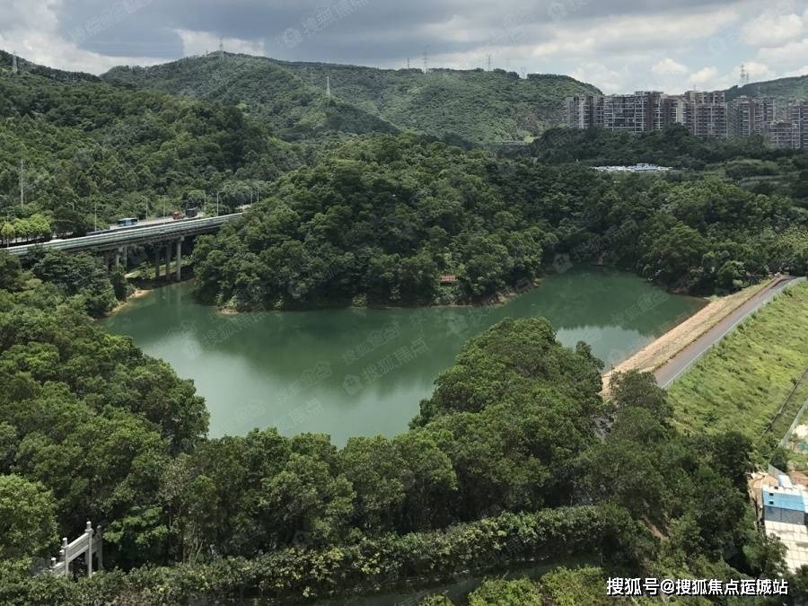 星河銀湖谷(深圳)首頁網站丨星河銀湖谷房價_戶型