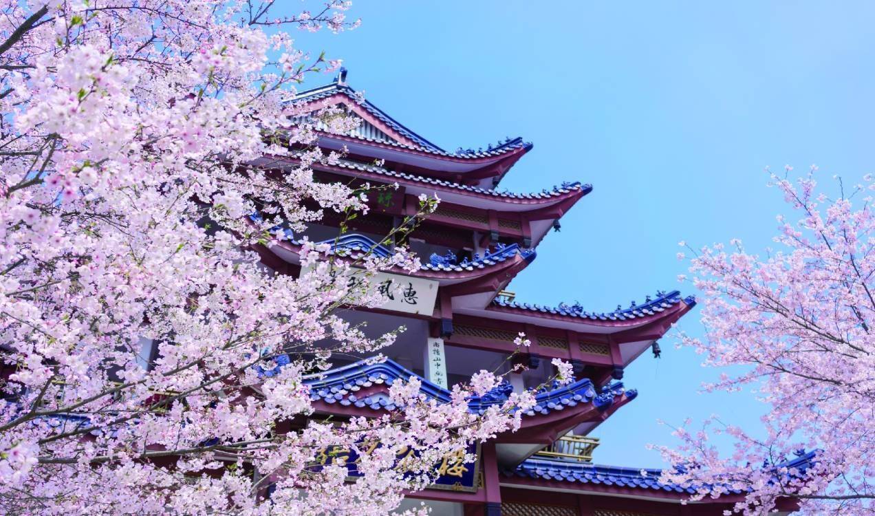 三國城,水滸城,龍頭渚,闔閭城,黿頭渚公園等10min旅行圈:靈山大佛