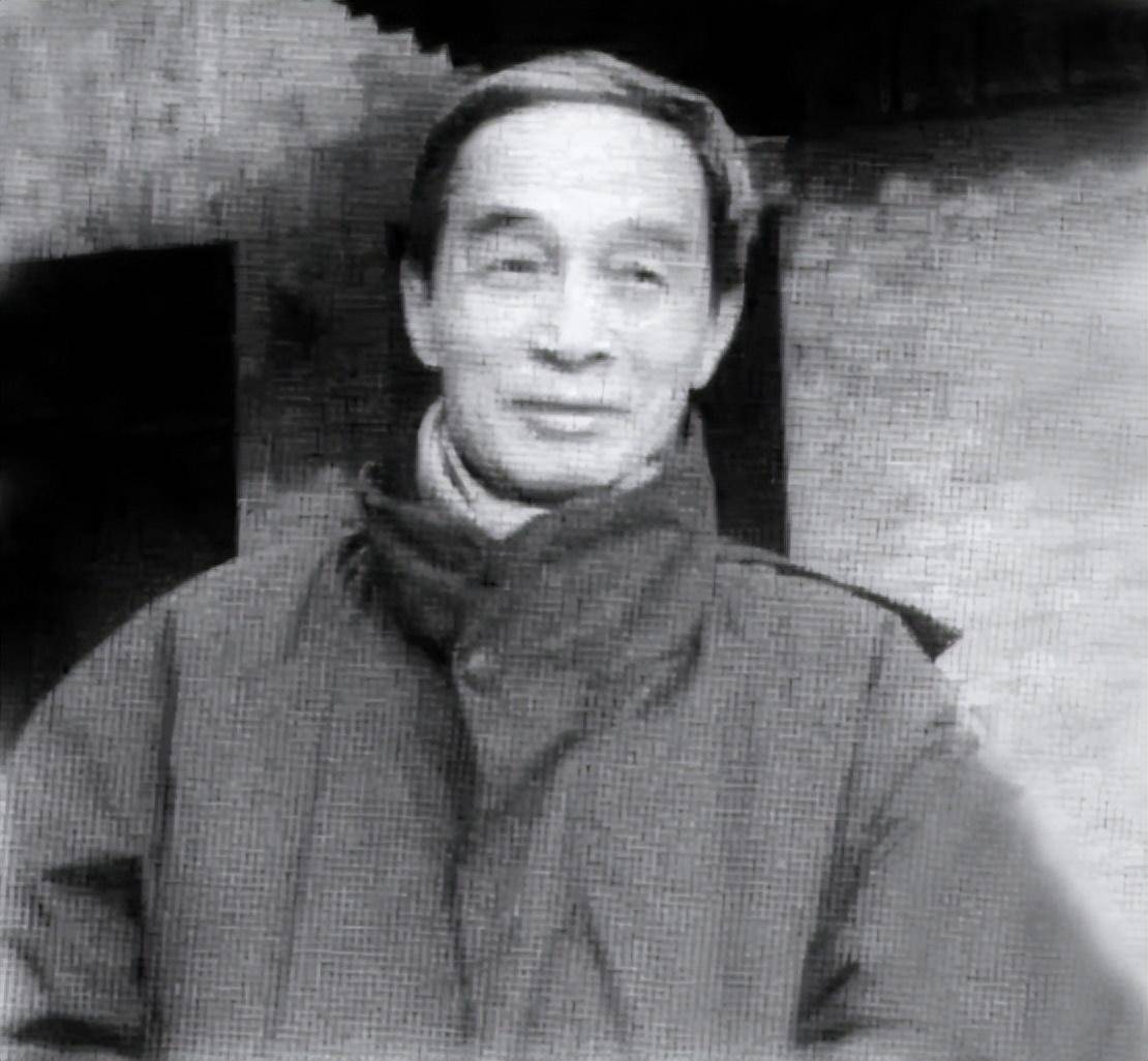 1973年,周总理看到一封信后,气得摔在地上,说了一句粗话_王若水_林彪