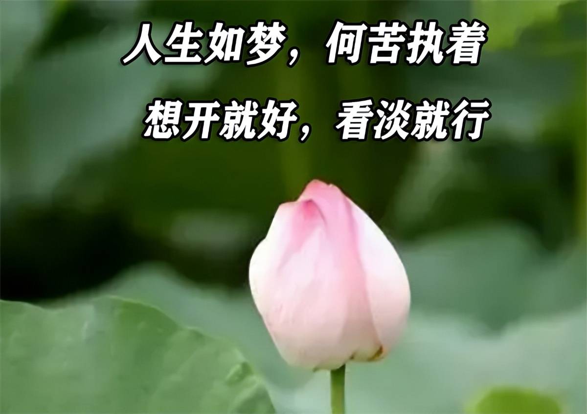 人生如梦,何苦执着,想开就好,看淡就行_成功_天意_命运