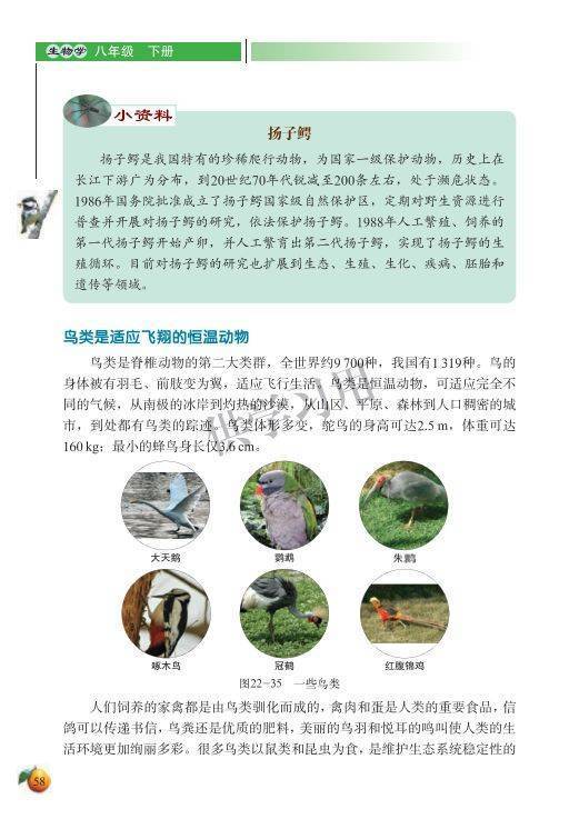 北师大版八年级下册生物电子课本