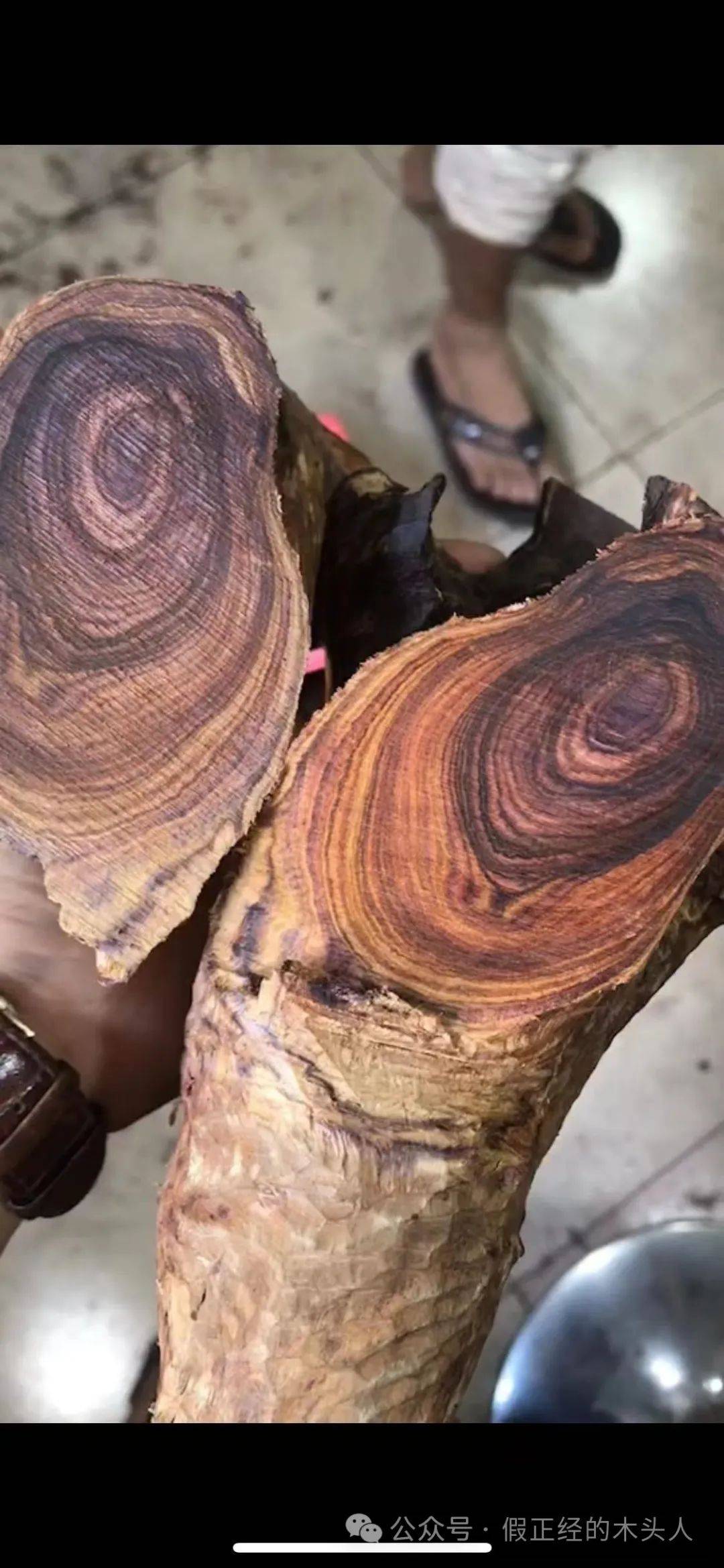 海南黄花梨(一)海南黄花梨认知(2)产地:海口(火山口)_材料_产区_东方