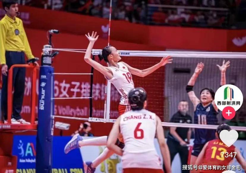 上海女排引强力主攻“小朱婷”加盟！搭档杨舒茗，真的全国无敌了_搜狐网