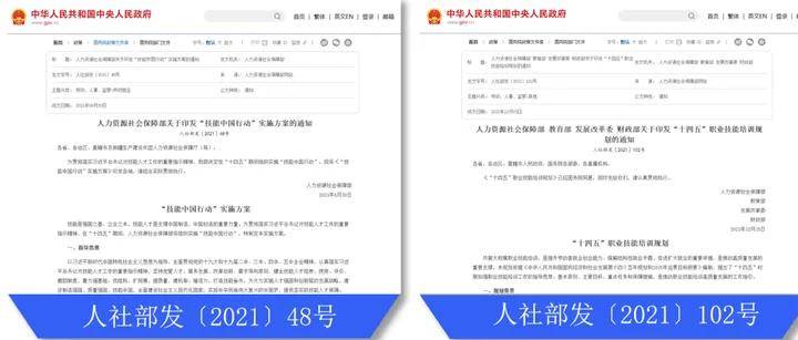鹦鹉匠是干啥的？