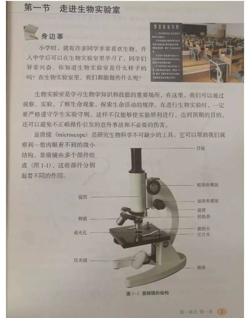 冀少版七年级上册生物电子课本高清完整版