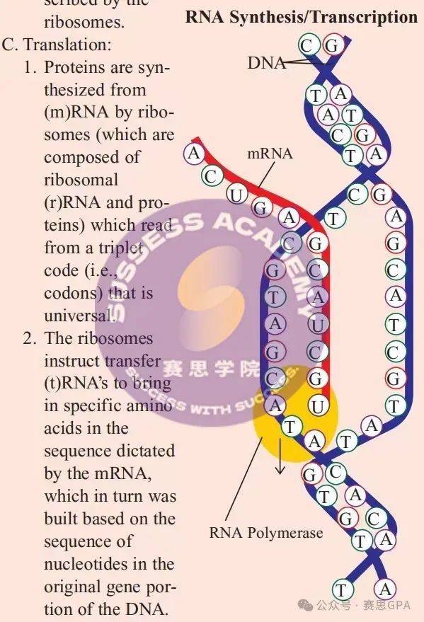 學習igcse最難的竟然是選課?保姆級攻略來了,不看後悔