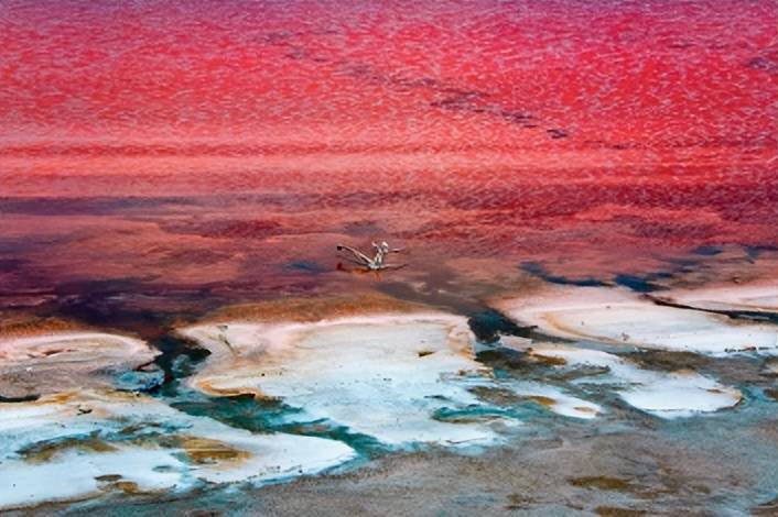 湖水會週期性地改變顏色:20世紀50年代是綠色,70年代是綠松石色