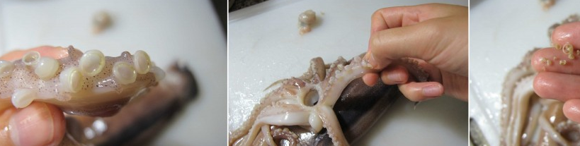 鱿鱼这样洗,烤出来的铁板鱿鱼才更有味儿!_触角_部分_方法