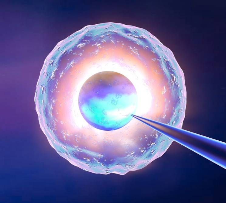 冷冻卵子多少钱?冻卵保存的费用需要多少钱?_价格_技术_保管费