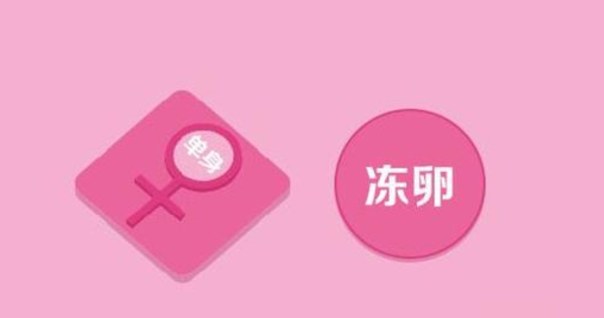 单身女性冻卵,"保险"还是"风险"?_生育_卵子_冷冻