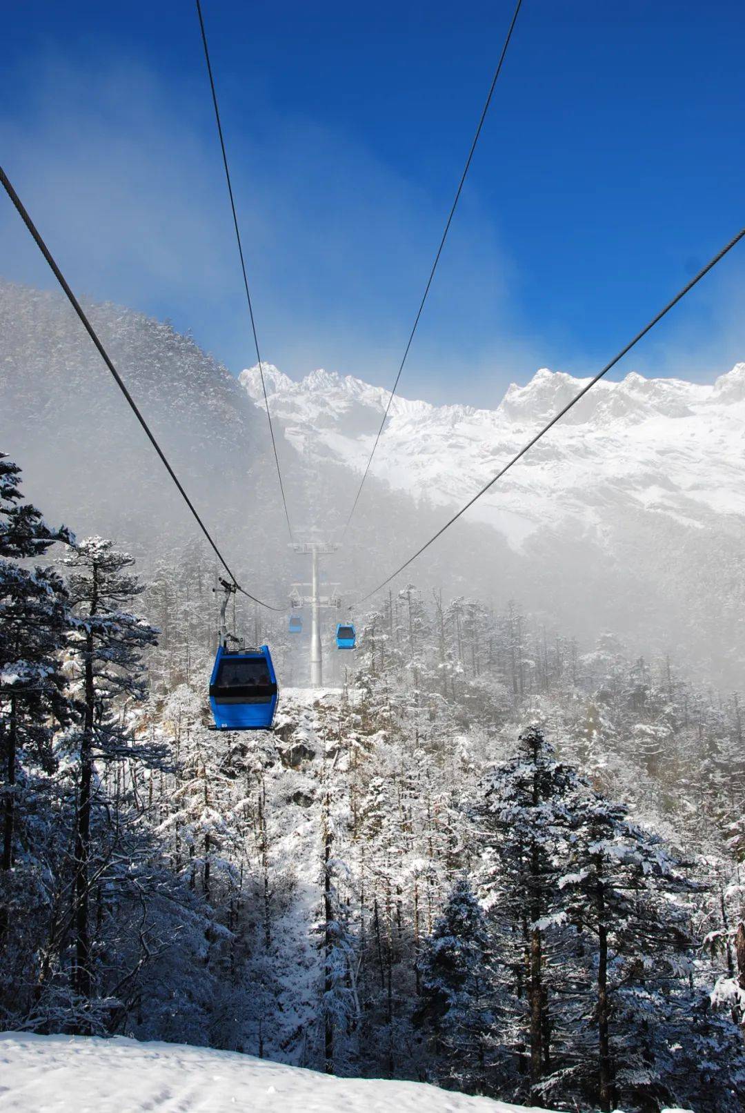 事关玉龙雪山_索道_冰川_公园