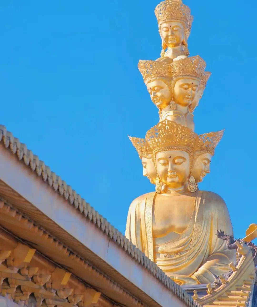 冬季的峨眉山有这么美?不只有吗喽,更有云海金顶!