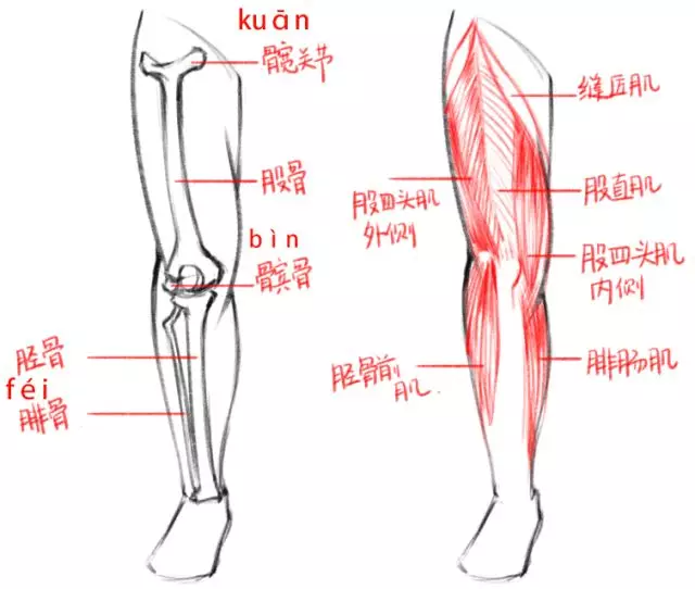 給你一學就會的腿部繪製技巧!