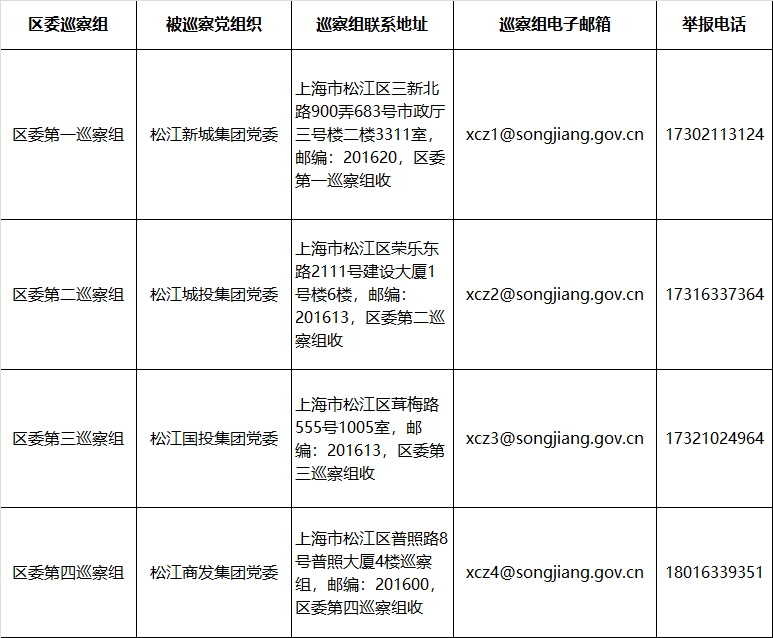 六屆松江區委第六輪巡察公告_工作_黨組織_情況