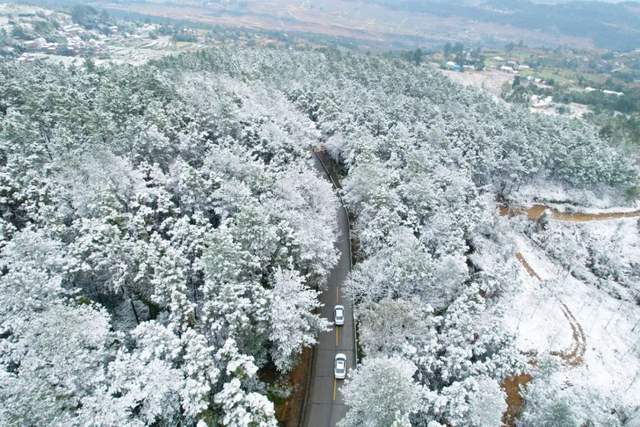 目光所及之處都被白雪覆蓋白雪將山間染白山王黑松林處處銀裝素裹