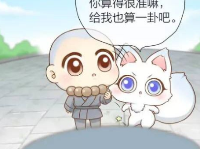 个小和尚:狐狸喜欢和尚,真的是投缘吗,还是因为头……_胡须_手相_表情