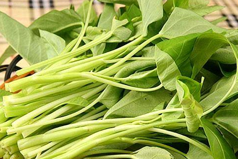 这菜含钙量是牛奶的3倍,孩子多吃长高个!