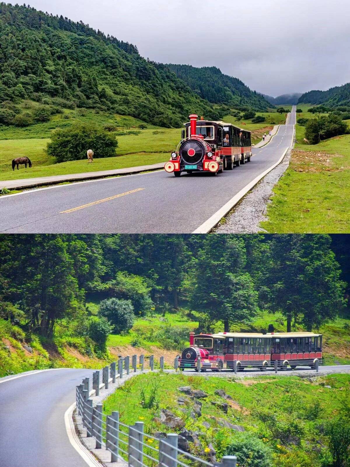 重慶旅遊攻略,重慶仙女山純玩3日遊路線_門票_仙女山