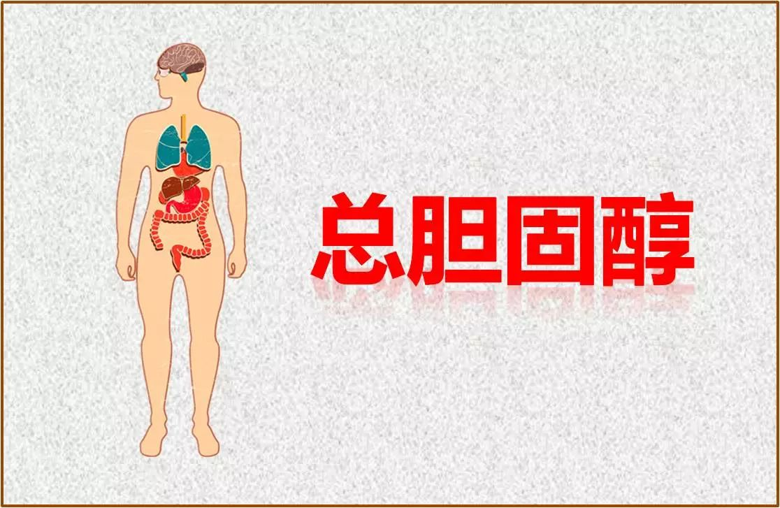 胆固醇高吃什么食物降得快,健康食谱大公开!_铁皮_降低_水平