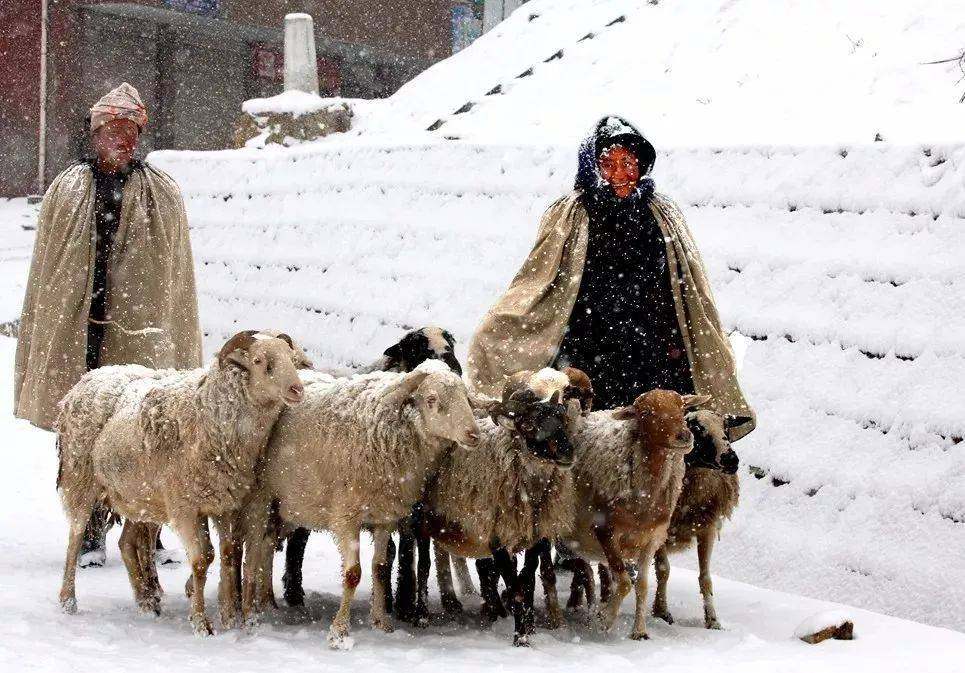 大凉山彝族生活现状图片