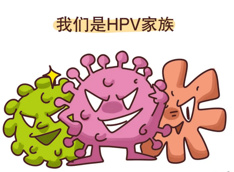 贵阳西南中西医医院医师讲解hpv持续高危型感染怎么办?