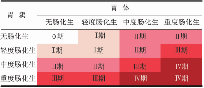 慢性胃炎如何有效管理和治療,一文總結!