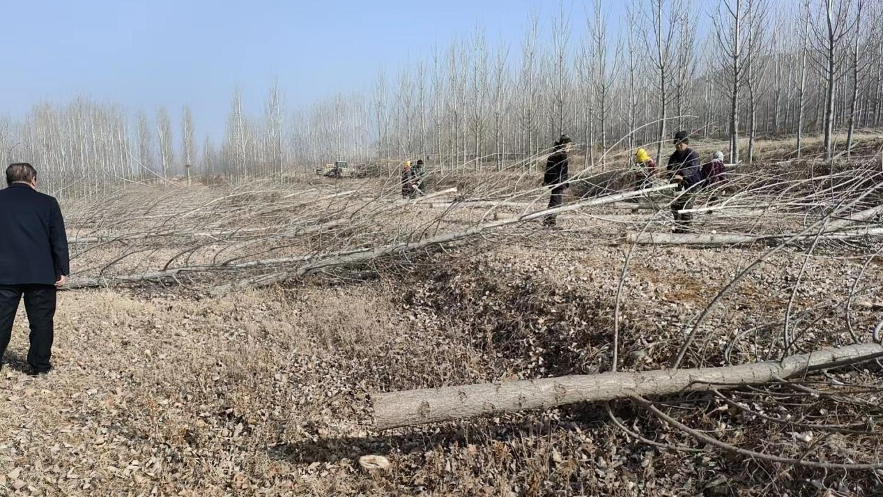 莒县洛河镇风水大师图片