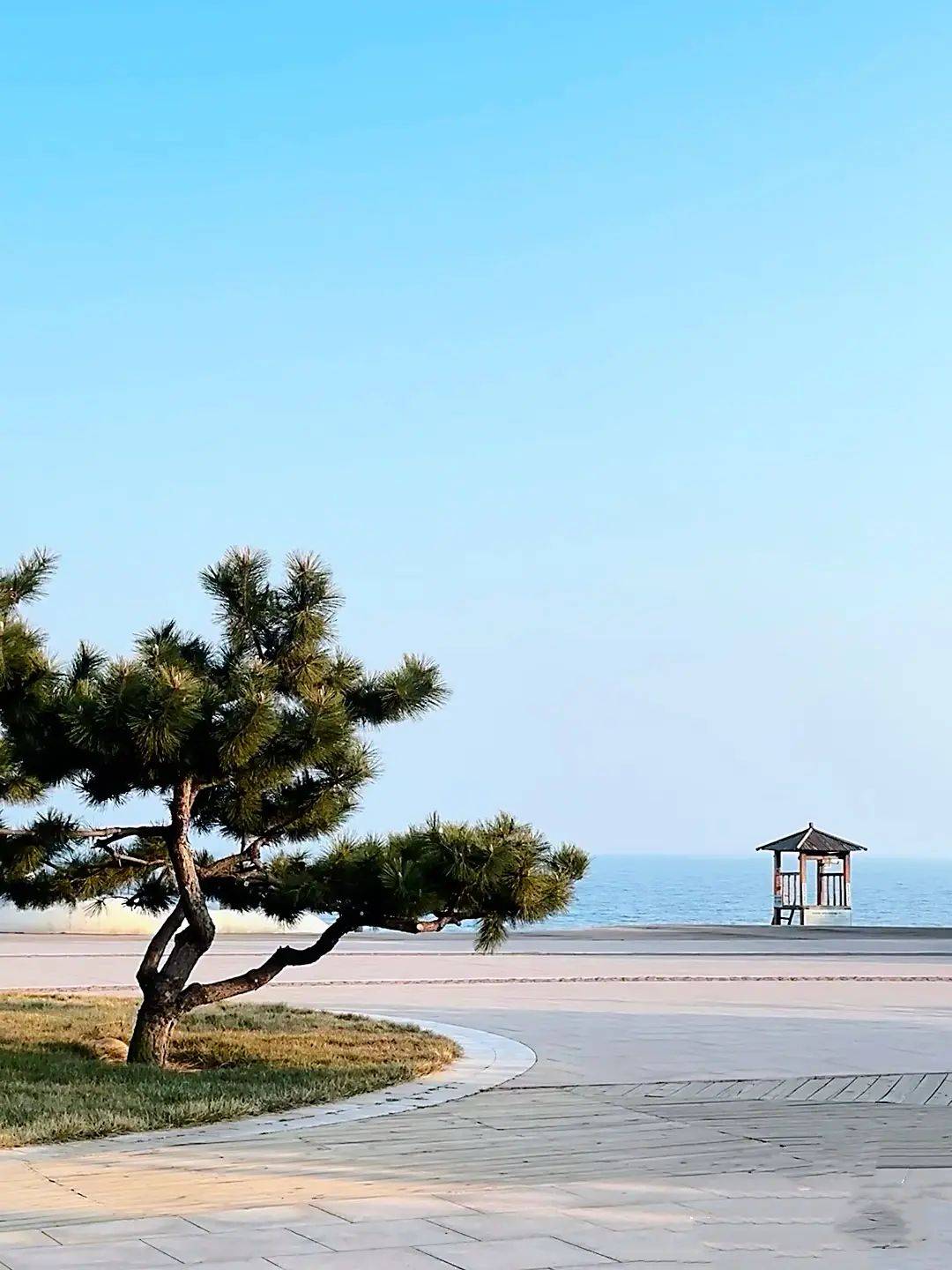 所以我去了日照!_景点_景区_建议