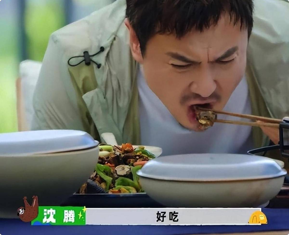 黄磊和贾冰谁做菜好吃?沈腾点评言辞犀利,我却要笑死在评论区