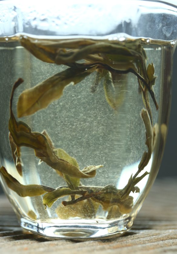 这应算是一个小误区吧,品质好的茶,不论是茶毫多