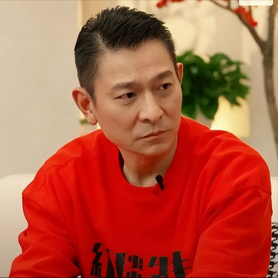 年少的刘德华已经在岁月里承受了太多的荣誉,关注与压力,而他也不再是