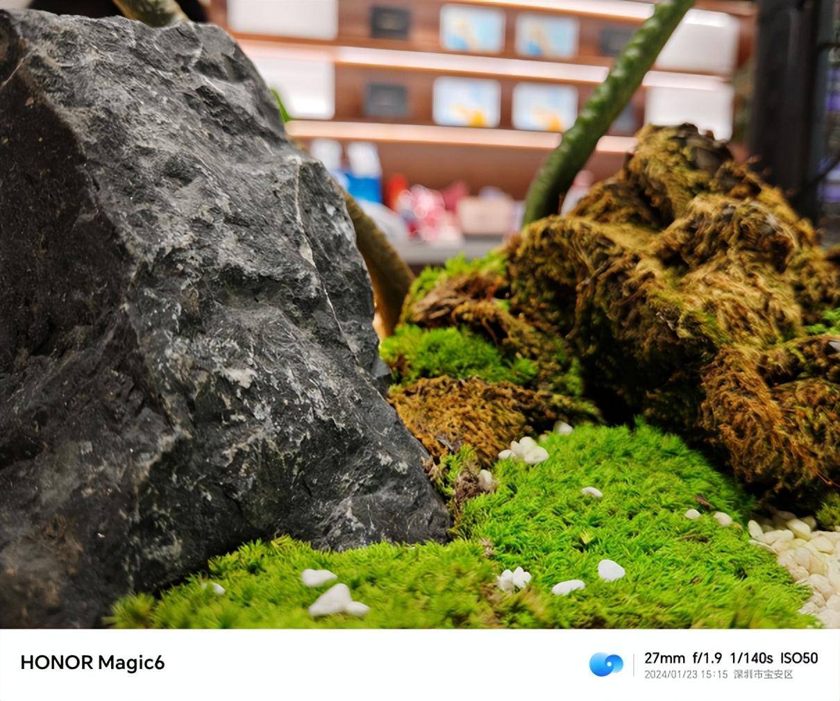 荣耀Magic6标准版带来的Pro级丝滑体验，流云紫配色惊艳登场！