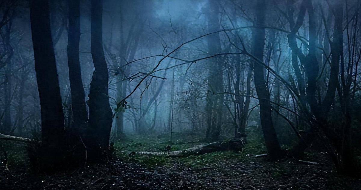 四川瓦屋山黄泉路,只见人进不见人出,被封400年至今无解_人类_传说_的