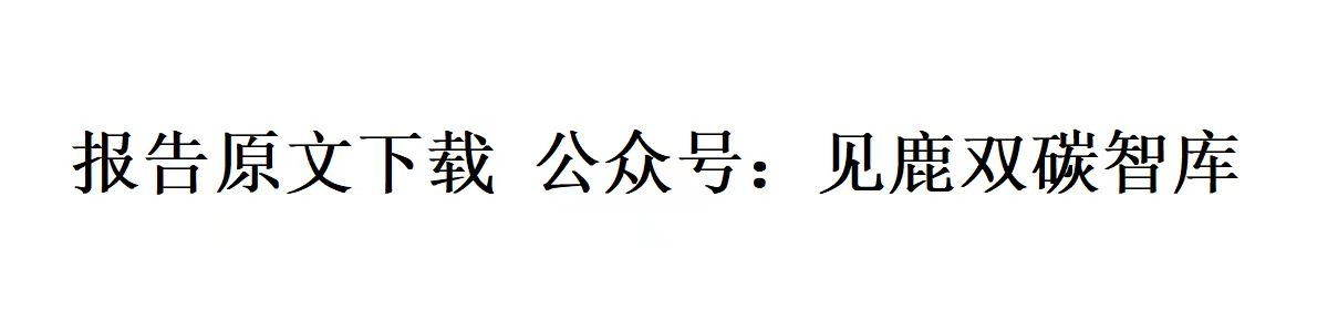 2023氣候適應性財政規劃:全球良好實踐綜述(英文版)()