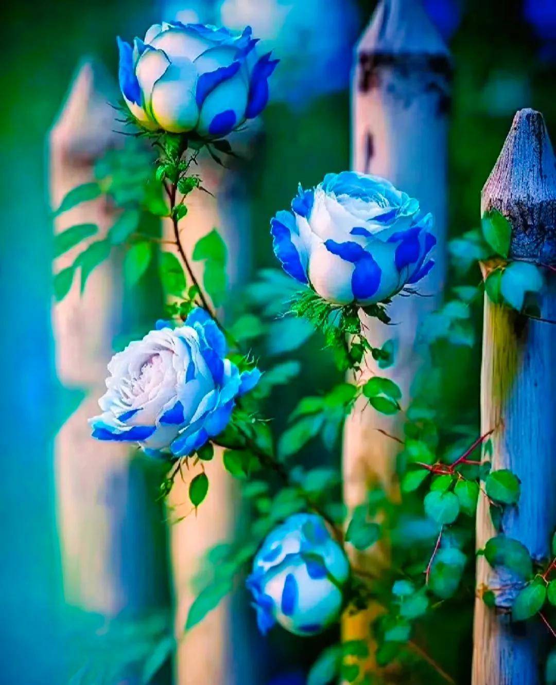 人静为安,事静为顺,心静为胜,身静为福_沉得住气_才能_困境