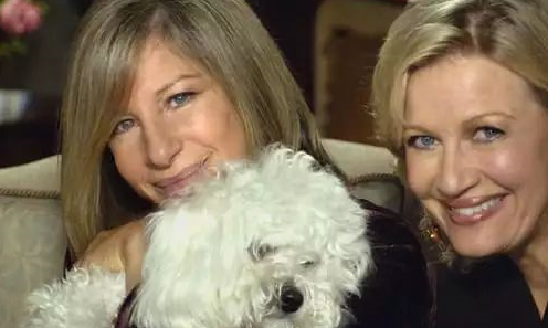 而mitchbyers的另一只爱犬,每次看到phoebe都会用鼻子在phoebe身上狂