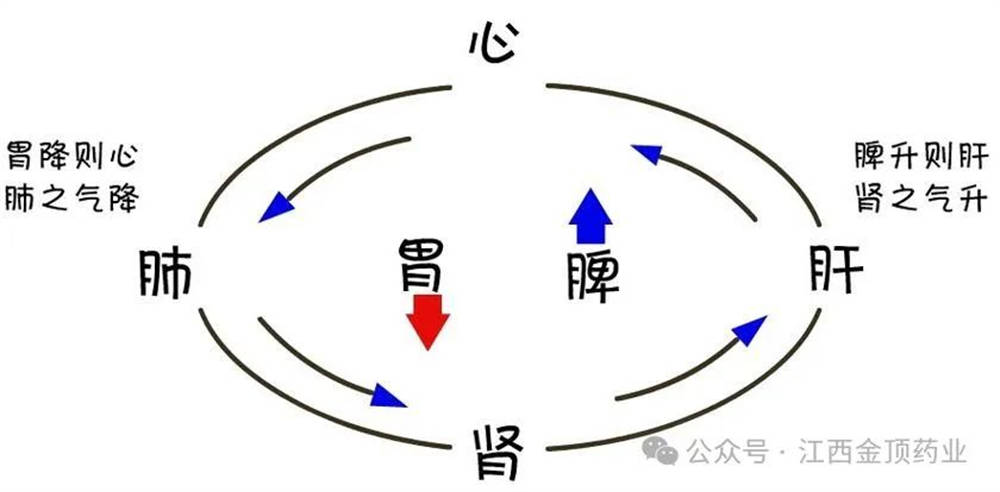 这几个千古名方 健脾祛湿