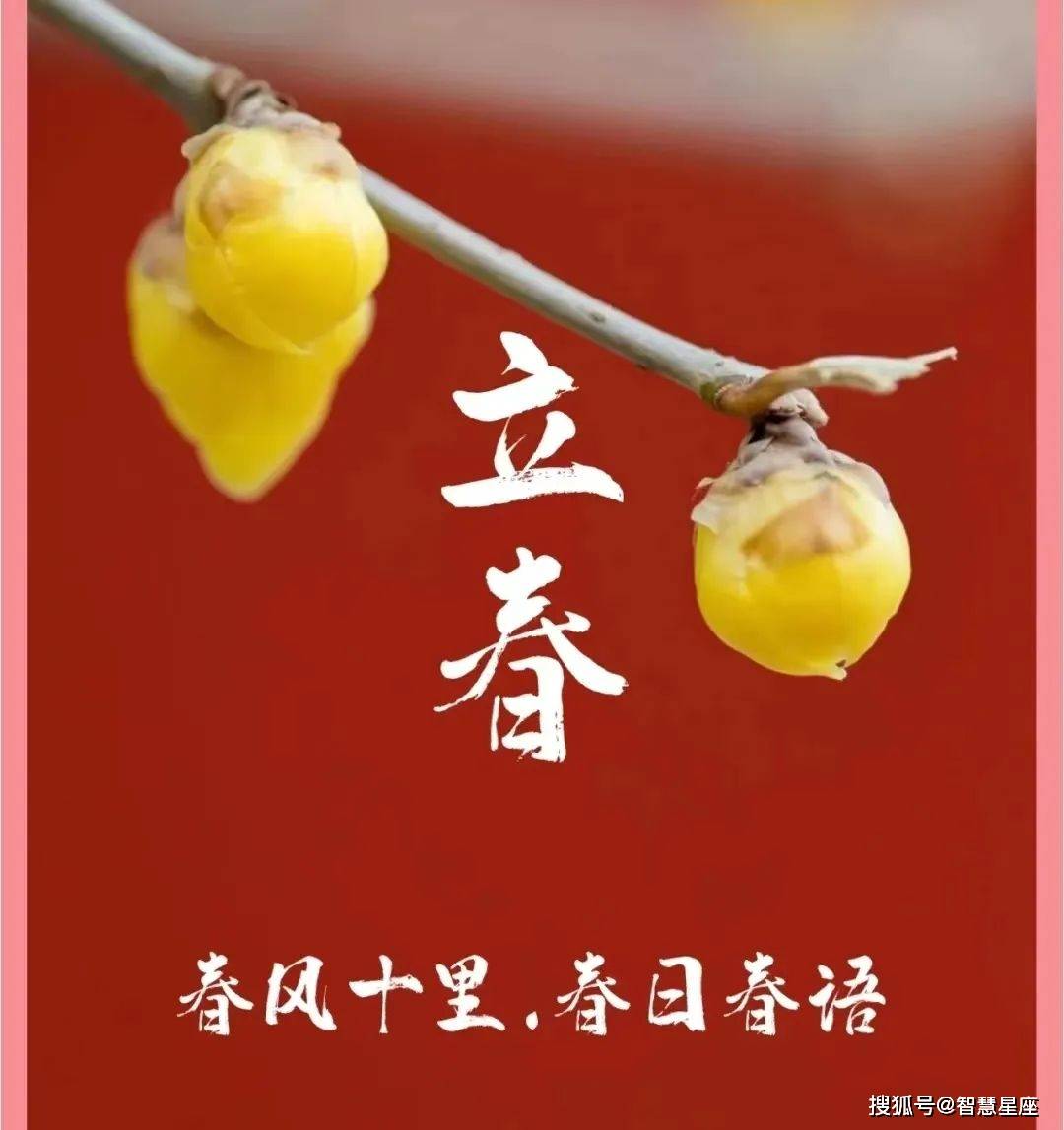 2月4日立春安康,早上好精选立春祝福早安问候语,群发周末问候语祝福语