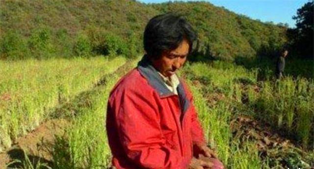 北大硕士王青松,带350万和妻子归隐山林十多年,现今如何?