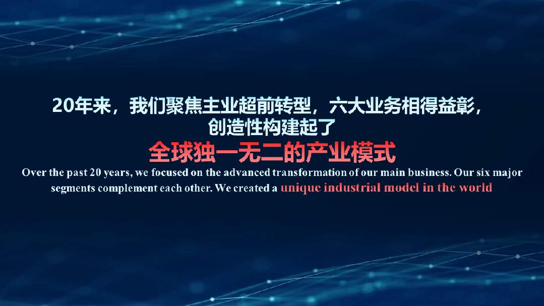"海外企业ceo们交流分享.