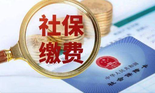 社保代缴四大平台哪个好-小豆网_服务_保障_企业