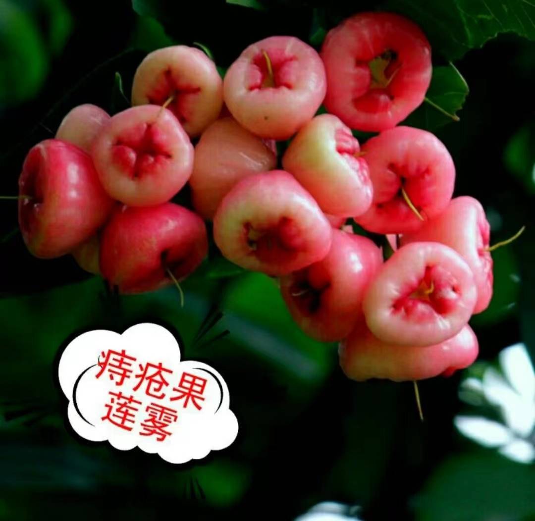 痔疮康复者无偿分享一个比手术还管用的方法!放心,没有广告!