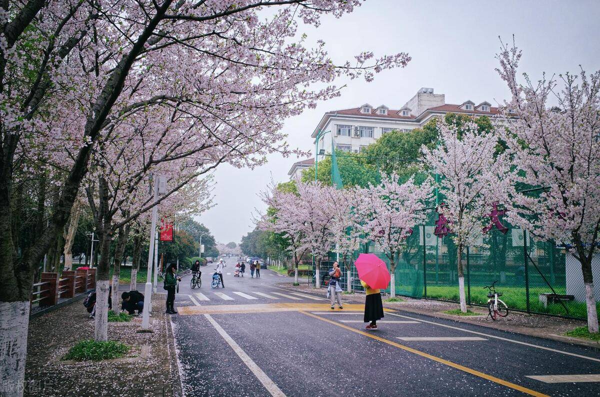 华中农业大学通报老黄学术不端,既然误人子弟,学生能否要赔偿?